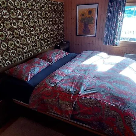 Walser Casa Paterna Dağ evi Disentis