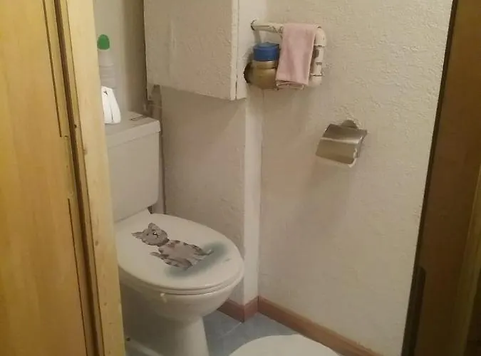 Walser Casa Paterna Disentis