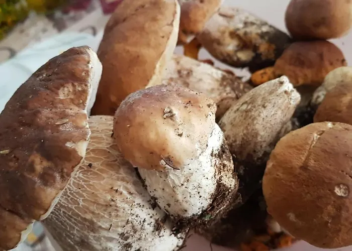 Chalet Walser Casa Paterna Disentis